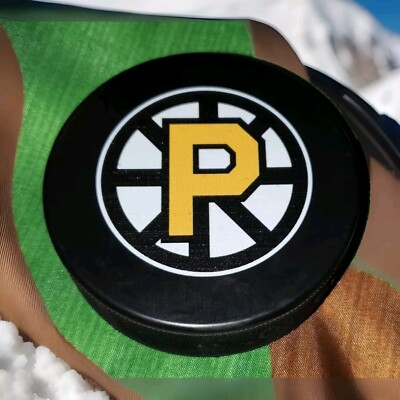 2014 PROVIDENCE BRUINS TEAM MCPEPIN WEDDING ASHLEY & JAMES INGLASCO PUCK 