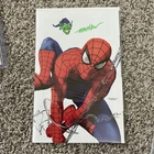 AMAZING SPIDER-MAN #1 Mayhew Virgin Variant SIGNED W/ COA Goblin Remark