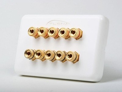 5 Speaker 10 Binding Post Banana Jack Wall Face Plate Surround Sound White