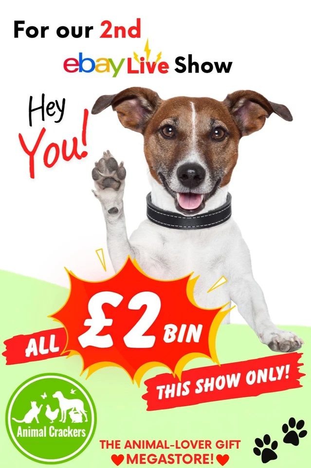 Second live show  - everything £2 (Buy it now!)