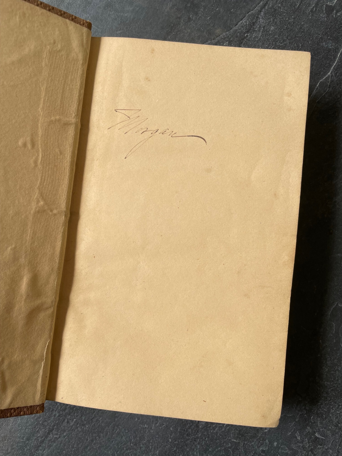 Picture 4 of 11