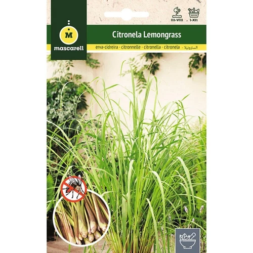 Mascarell Semillas, CITRONELLA (LEMONGRASS), Semi di Erbe da Piantare, (m2K) - Foto 1 di 1