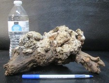 manzanita burl wood  D456 10" x 6" x 4 3/4"at the tallest point