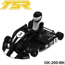 Team Saxo GK-200 1/8 RC Go Kart KIT ARTR Black Brushless Racing Car Cart Hobby
