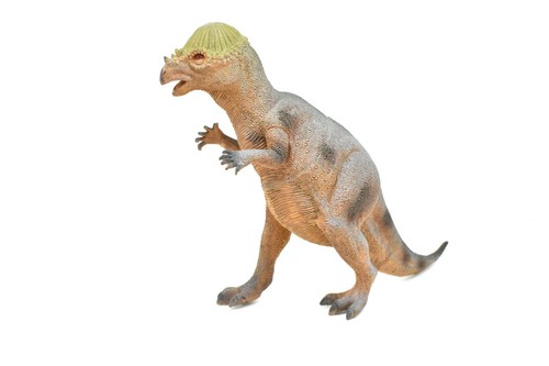Stegoceras Toy, Dinosaur, Realistic Model, Plastic Replica, 14" CWG156 BB32 - 第 5/7 張圖片