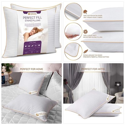 king pillow 2 pack