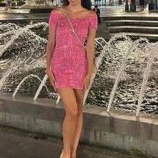 NWT 🎀 ZARA 🎀 Smocked Floral Fuchsia Pink Metallic Cocktail Party Dress SMALL