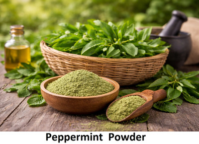 Organic Peppermint Powder | Dried Mint Leaves | Pudina Powder for Tea