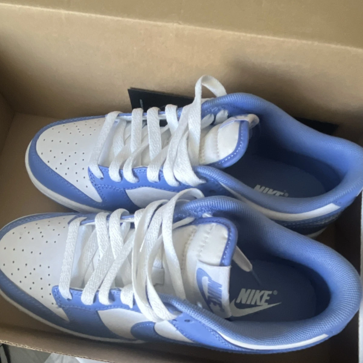 Preços baixos em Nike Dunk Low Pro Blue | eBay