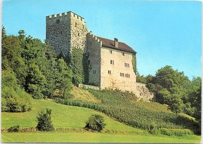 Vintage Unposted Postcard Habsburg Castle Canton of Aargau Habsburg Switzerland