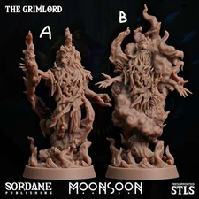 3D Printed Sordane Publishing The Grimlord 28 32mm D&D