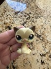 Littlest Pet Shop Heart Face Cat #3573 — photo 2
