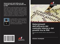 Olufemi Aladejebi | Determinanti Dell'efficacia Del Controllo Interno E Dei...