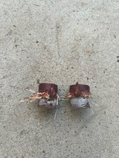 2pcs Dark Purple Sugarcane Cutting Sweet And Juicy Ready To Plant