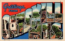 Large Letter Greetings from Catskill Mountains, New York NY Postcard Copy