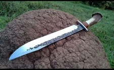 Rare Hand Forged Carbon Steel Big Bowie Knife, Hunting Knife With Stag Handle