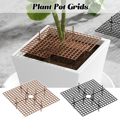 tree seeds for bonsai AVERGO Bonsai Tree Kit Deluxe - 5X Unique Japanese Bonzai Trees main image 0