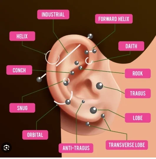 2 8g 3/4 Shiny Polished Horseshoe Rings Surgical Steel 316L Prince Albert Nipple - Image 3 of 3