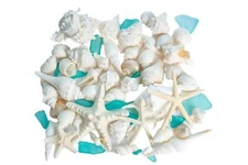 Sea Shells - Real Mixed Beach Seashells with Real Starfish & Caribbean Blue S...