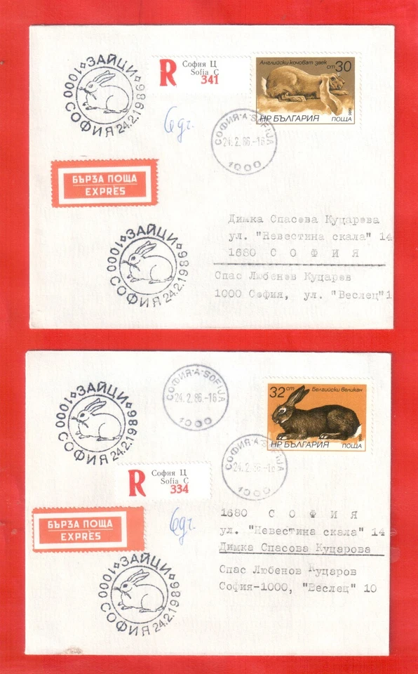 Mamíferos. Conejos. Juego de seis fundas primer día, perforadas. Bulgaria 1986 Foto 2 de 4