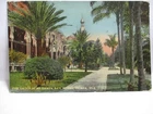1910 POSTCARD " THE GROUNDS OF THE TAMPA BAY HOTEL, TAMPA FL " RARE CLOSE UP