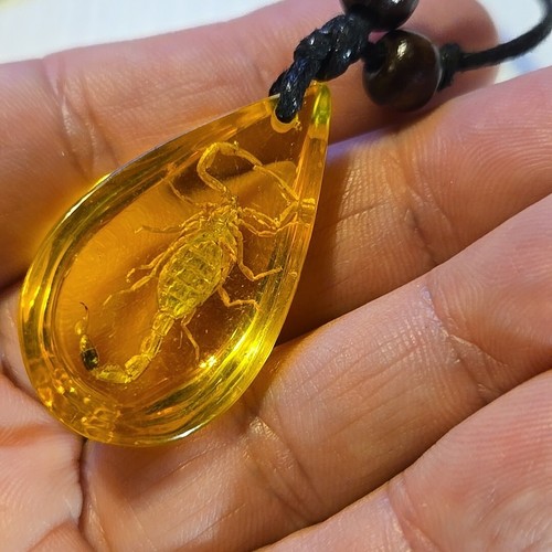 (AMBER) ACRYLIC SCORPION Pendant Charm Adjustable Rope Necklace (#2) - Picture 7 of 8