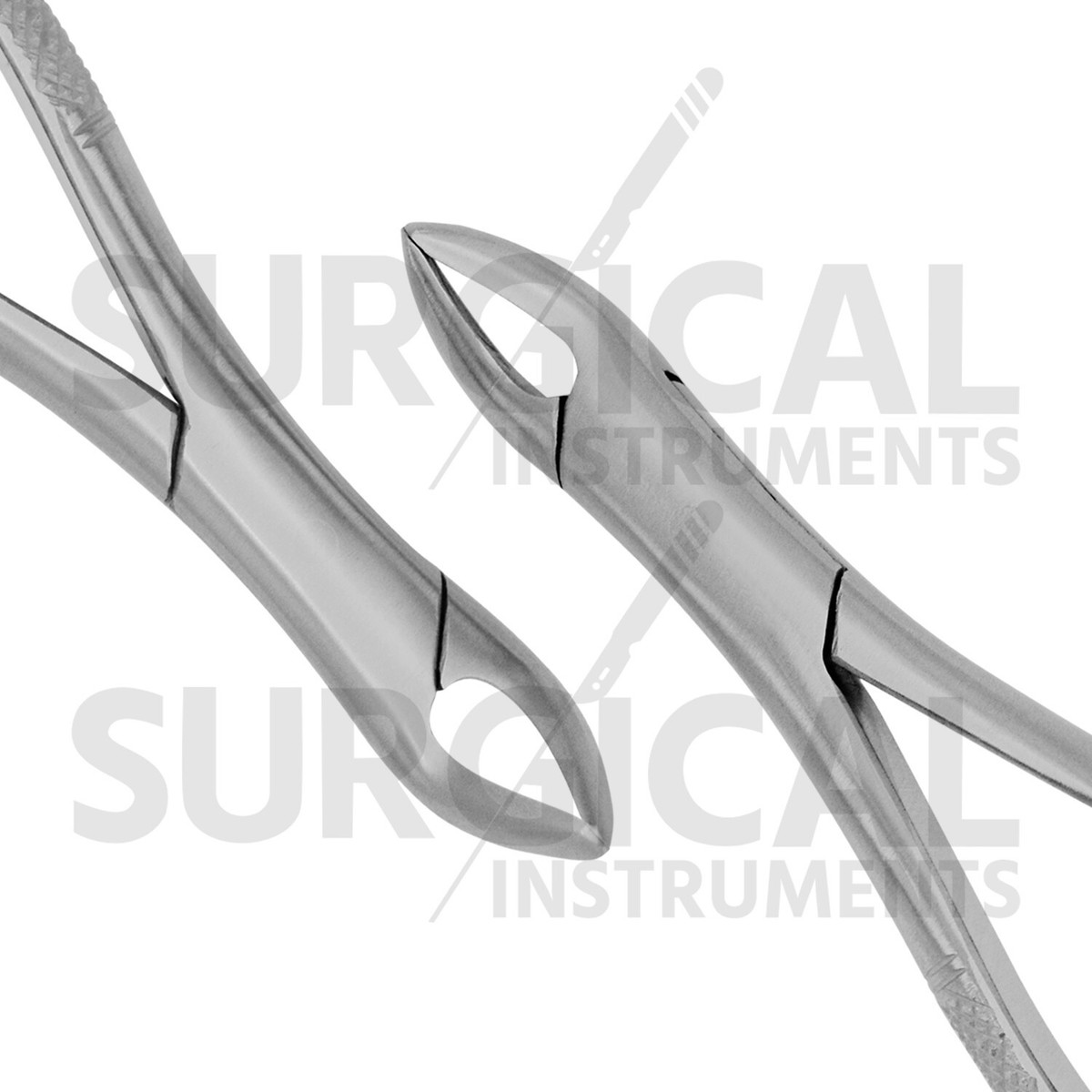 Pedo Extracting Forceps Dental Instrument #B - Stainless Steel, German Grade