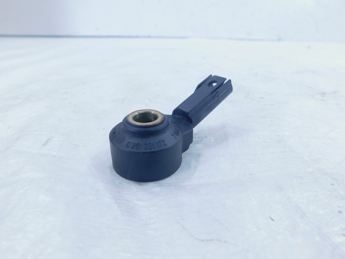 BMW S1000R RR R1250 R1200 K1200 K1300 R-NineT HP2 HP4 Engine Knock