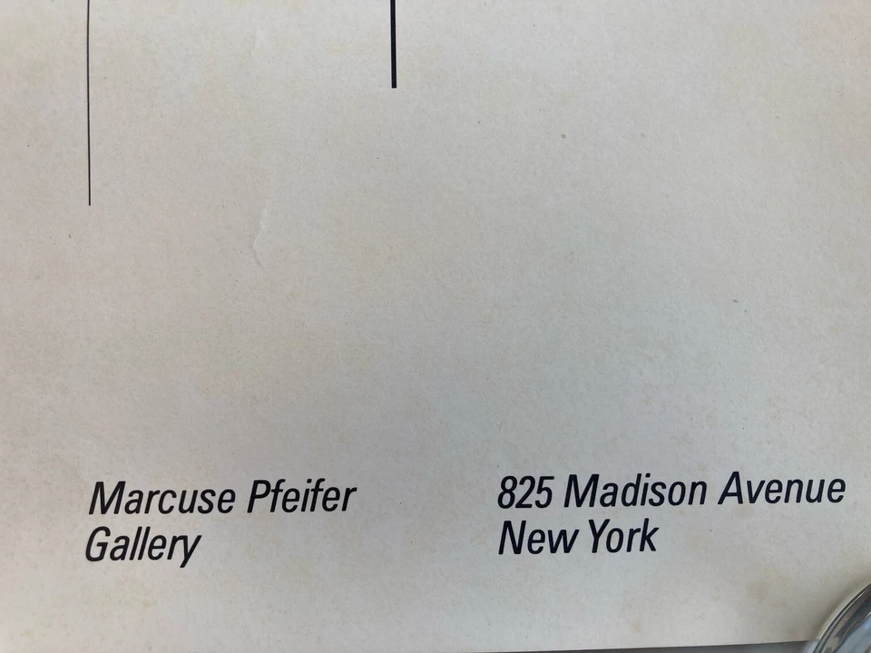 Pacote raro de pôsteres originais de exposição de fotografia Fredrich Cantor, vintage Nova York - Imagem 4 de 4