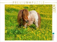 Calvendo Puzzle A Pony In The Summer Meadow In Radstadt | 2000 Pieces, Finished