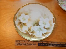 RS GERMANY HAND PAINTED 9 3/4" CAKE PLATE DISH GOLD HANDLE WHITE FLORAL