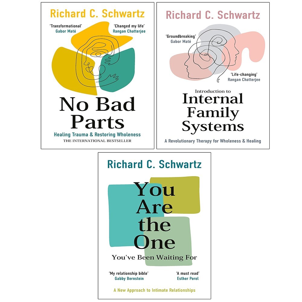 Richard Schwartz 3 Books Collection Set No Bad Parts, Introduction to Internal - Image 2