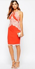 NWT Women’s Lipsy Cream Lace Dark Coral Fitted Stretch Party Evening Dress Uk 10