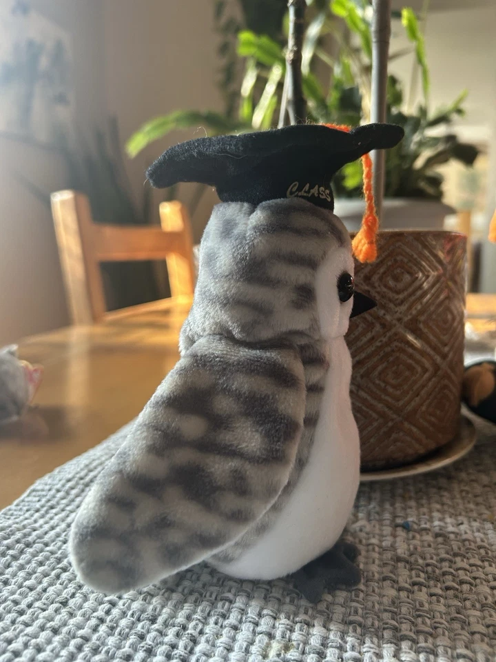 Raro TY Beanie Baby Wiser the Owl Class de 1999 etiqueta con errores P.E.Pellets. Foto 2 de 4