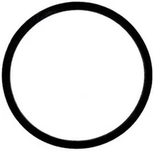 Binks Santoprene Head Gasket for Binks 2-Gallon Pressure Tanks (83-1419)