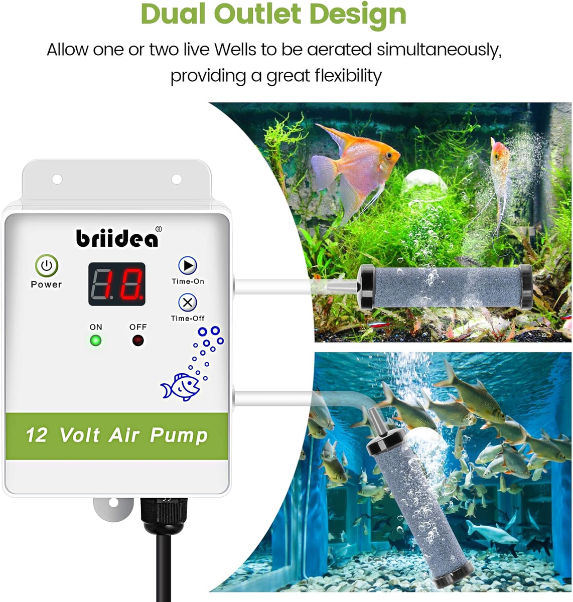 Best Livewell Aerator Boat Aerator Pump 12V Bait Pump 350GPH - Portable For Live  Bait Tanks And Fish Containers Portable Aeration Pump Betta Fish Tank