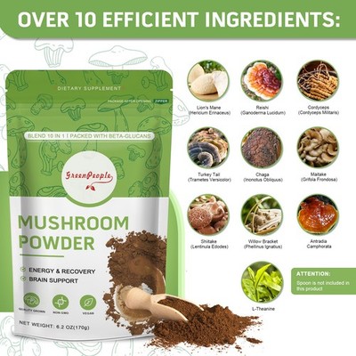 Mushroom Coffee Powder Organic with Lion's Mane 70/170g