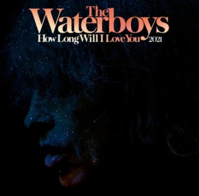 The Waterboys How Long Will I Love You 2021 12'' vinyl record limited 2021 RSD