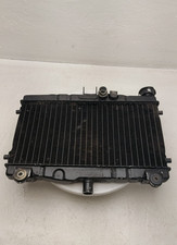 Honda NS 250 F Radiator