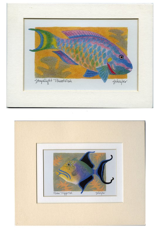 12 Underwaters Colors Fish Artwork Sally Hoyler Signed Sea Life Prints