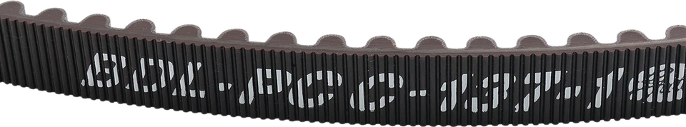 Correa de transmisión trasera PCC-137-1 09-20 Harley-Davidson Iron 883 XLN Foto 2 de 2