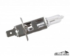 Autolampe Birne H1 f�r BMW F X5 E38 E31 E23 E32 E24 E34 E28 E36 E30 R ab 74->