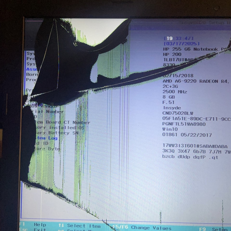 HP 255 G6 Laptop, AMD A6-9220 Radeon R4, 2.50GHz, 8GB RAM, 256GB SSD ...