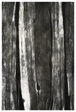 Photogram silver print 18x12 circa 1940 silver print 