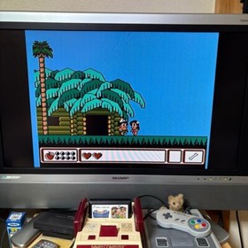 Master Takahashi's Adventure Island Nintendo Famicom Game Softoare Hudson Soft