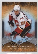2008-09 Upper Deck Ovation Daymond Langkow #108 e6j
