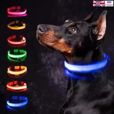 Light Up Dog Collar LED Flashing Illuminated USB Rechargeable Pet Safety Lights - Image 1 of 4