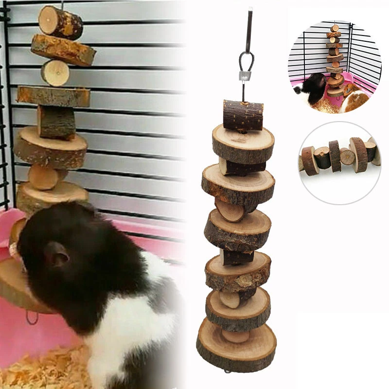 View of Guinea Pig Chew Sticks