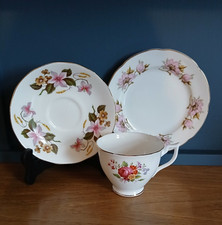 Vintage Fine Bone China Trio Tea Cup Saucer Side Plate Multicoloured Flowers