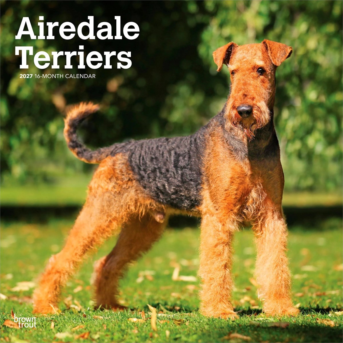 Airedale Terriers Calendar 2027, Wall Calendars, Month To View, Dogs, Gift - Image 3